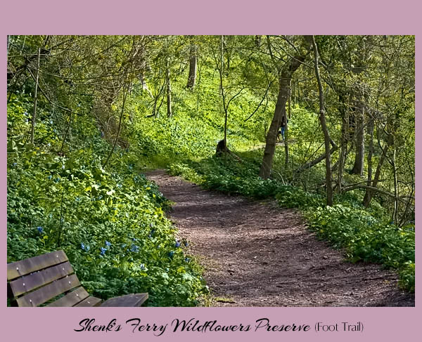 Shenks Ferry Foot Trail 1