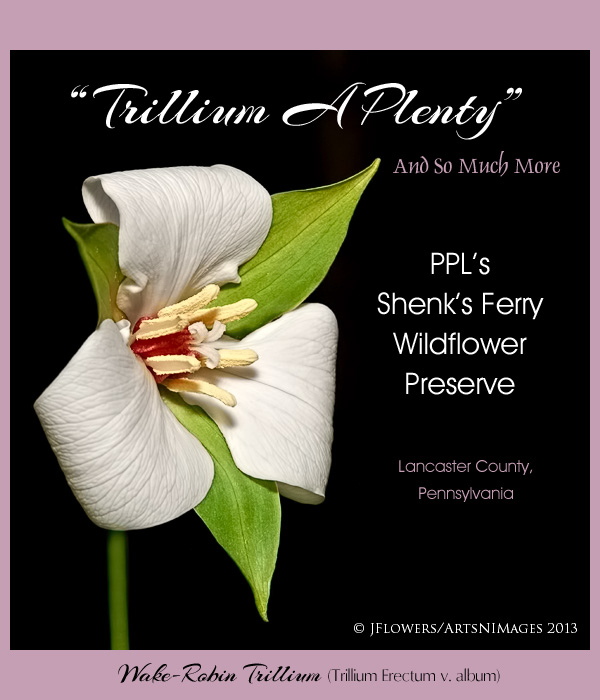 Shenks Ferry Title Image R1