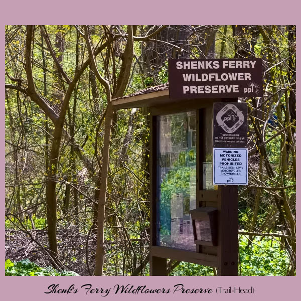 Shenks Ferry Trailhead