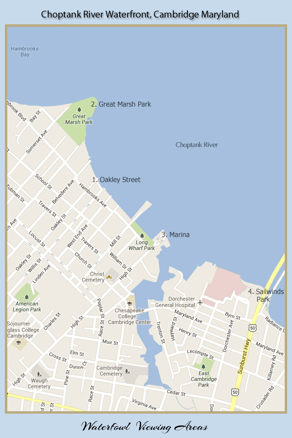 Waterfowl viewing map
