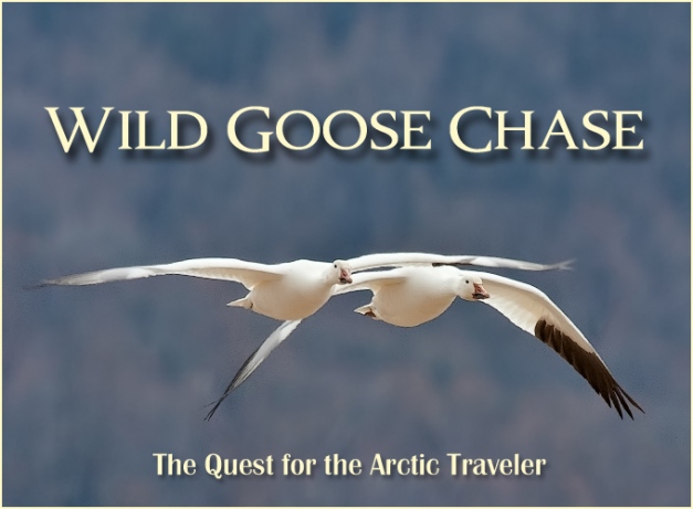 Wild Goose Chase Title Image